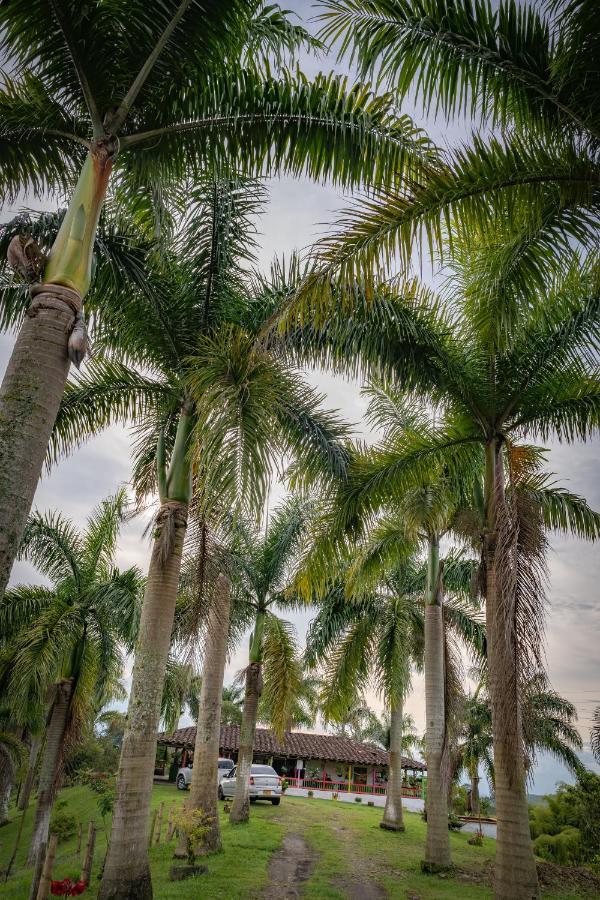 Rancho Chihuahua Hotel Filandia Ngoại thất bức ảnh