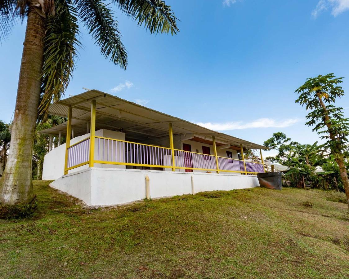 Rancho Chihuahua Hotel Filandia Ngoại thất bức ảnh