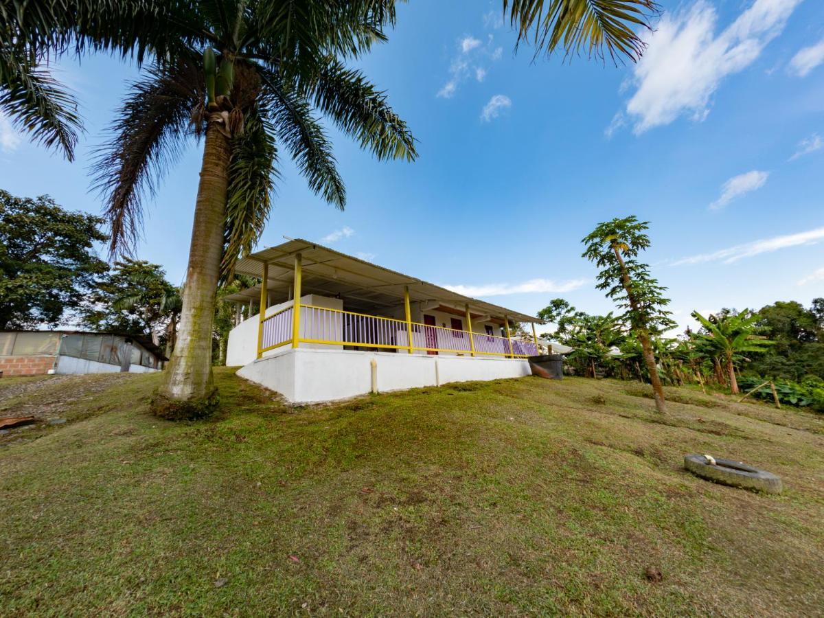 Rancho Chihuahua Hotel Filandia Ngoại thất bức ảnh